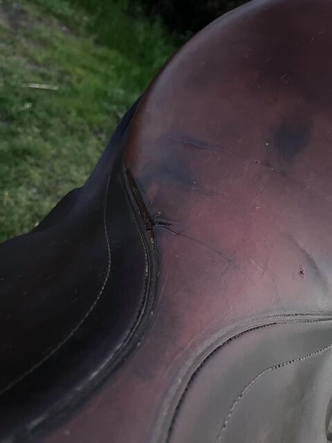 selle stubben edelweiss