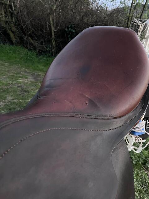 selle stubben edelweiss