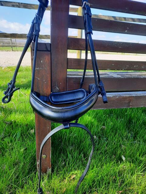 Muserolle dressage large Dyon