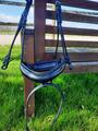 Muserolle dressage large Dyon