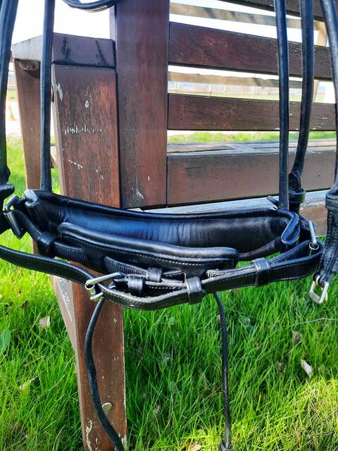 Muserolle dressage large Dyon