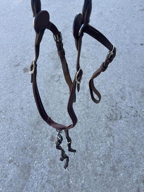 collier de chasse Antares pour double quartier
