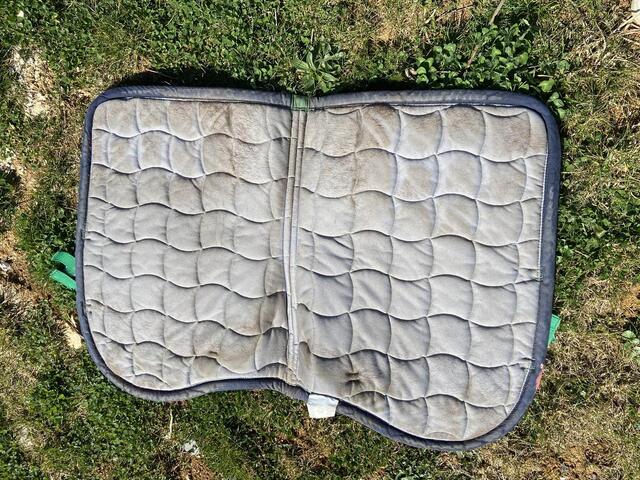 tapis