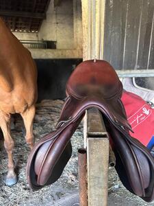 Selle obstacle - Marque Équipe Carbon - 17/17,5 - Quartier M