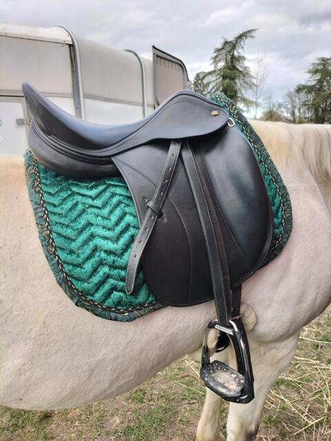Selle dressage