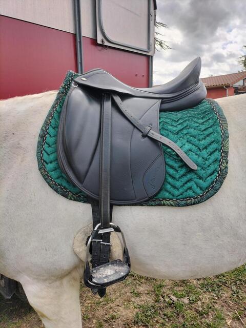 Selle dressage