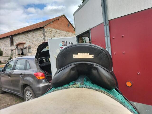 Selle dressage