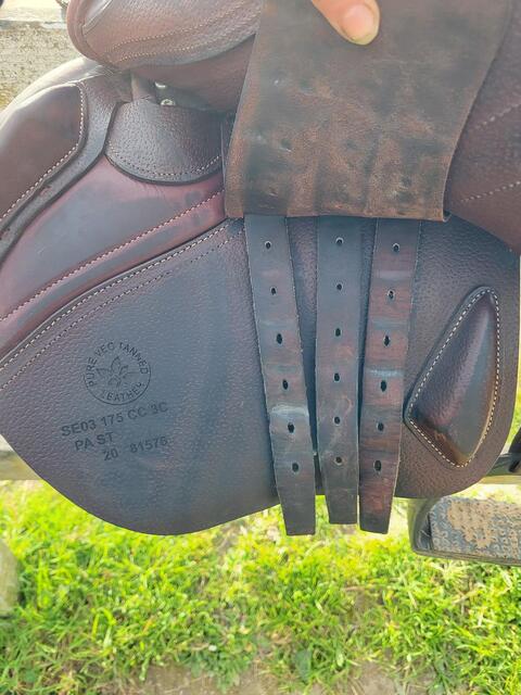 Selle CWD