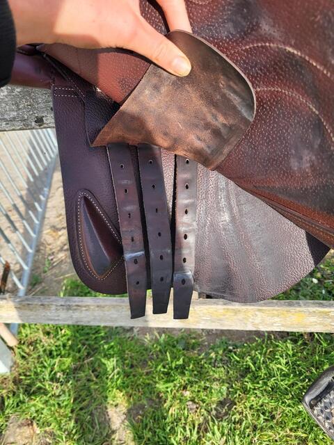 Selle CWD