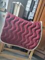 Tapis penelope