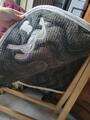 Tapis penelope