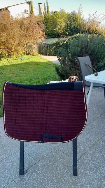 tapis fouganza bordeaux