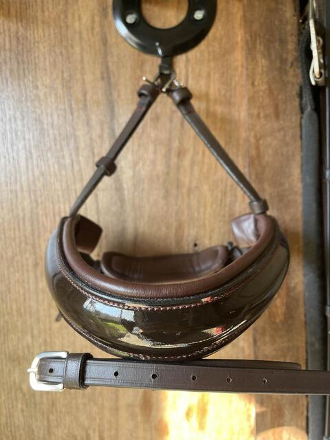 muserolle dressage dyon