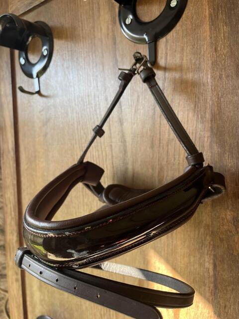 muserolle dressage dyon