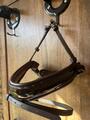 muserolle dressage dyon