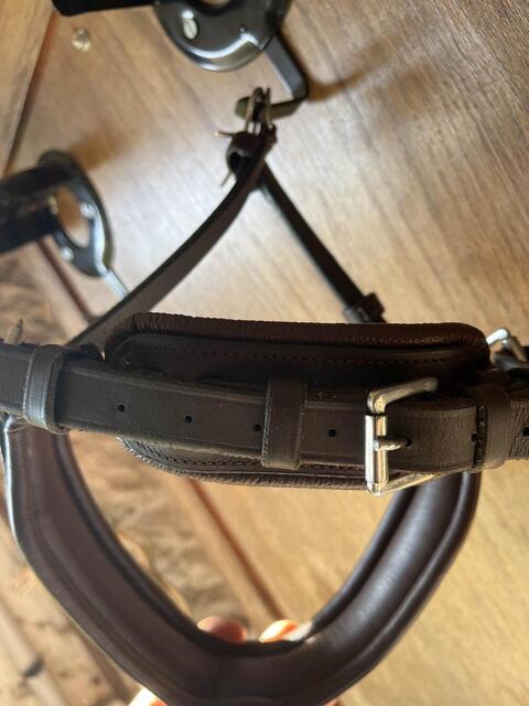 muserolle dressage dyon