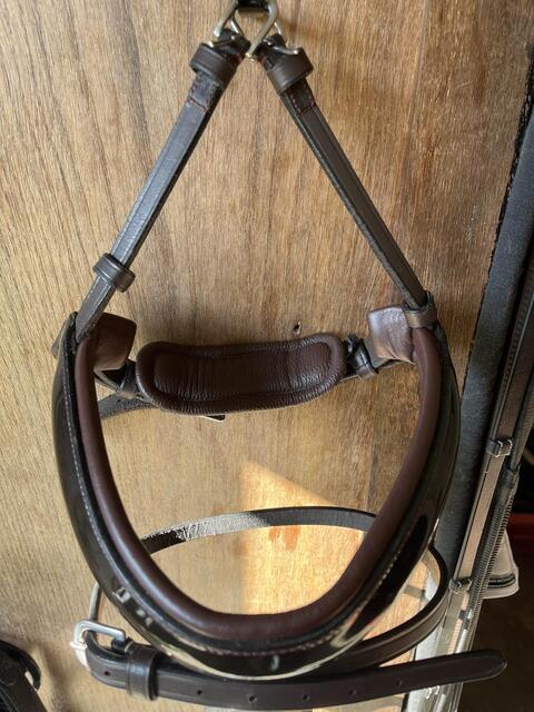 muserolle dressage dyon