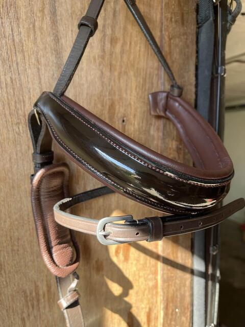 muserolle dressage dyon