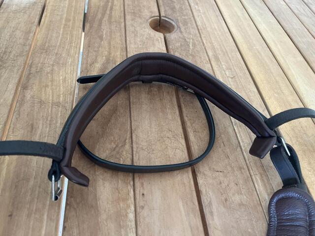 muserolle dressage dyon
