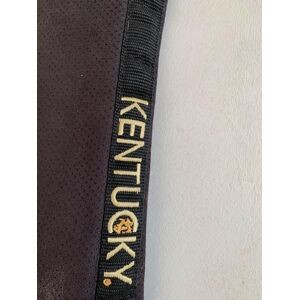 amortisseur Kentucky
