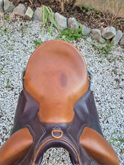 Selle Compiègne