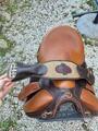 Selle Compiègne