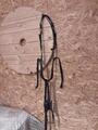 collier de chasse