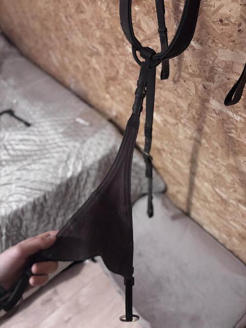 collier de chasse