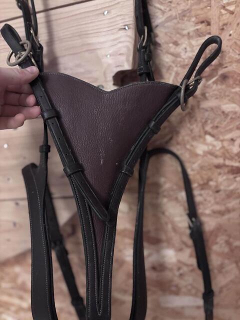collier de chasse