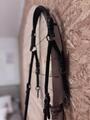 collier de chasse