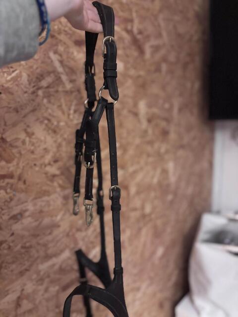 collier de chasse