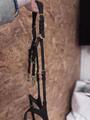 collier de chasse