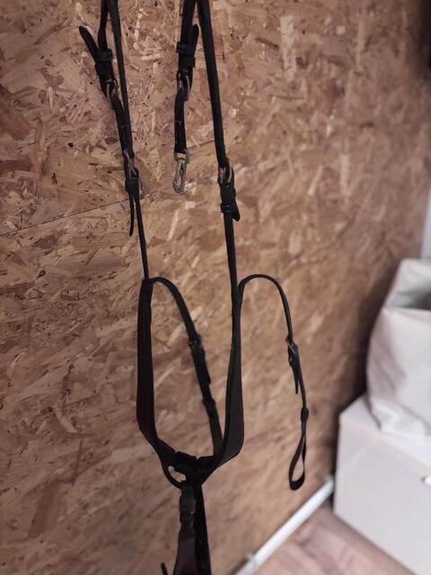 collier de chasse
