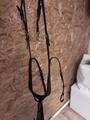 collier de chasse
