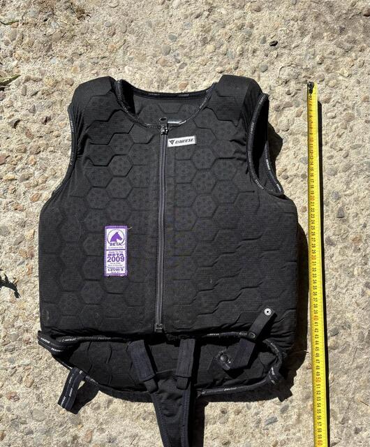 Protège dos dainese enfant L