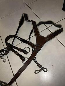 collier de chasse one Jumpin