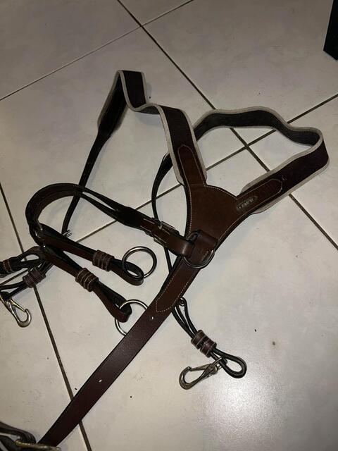 collier de chasse one Jumpin