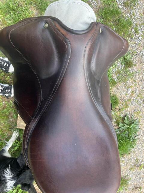 selle de dressage Childeric