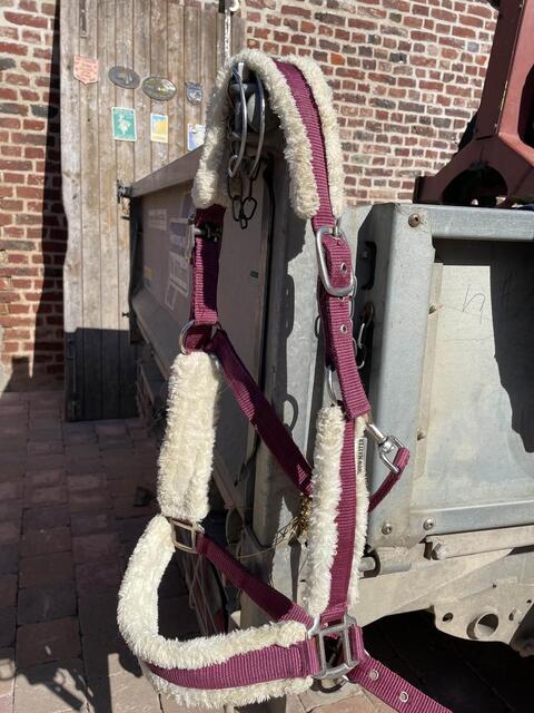 lot (licol, longe de travail, protection)