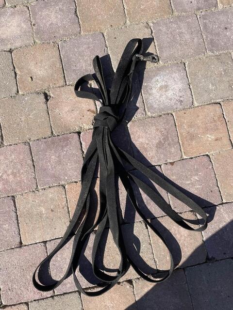 lot (licol, longe de travail, protection)