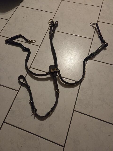 Collier de chasse