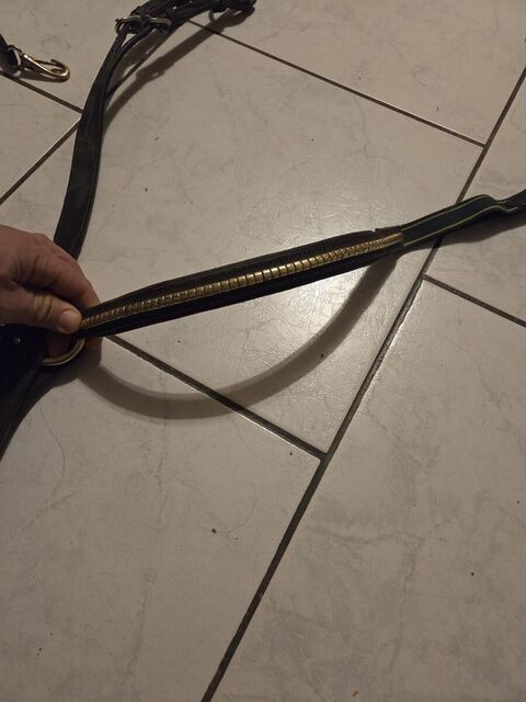 Collier de chasse