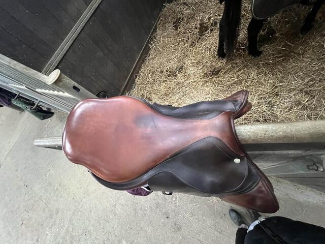 Selle Mixte CWD