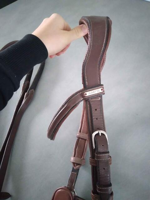 Bridon Jump'in sans rênes (taille cob)