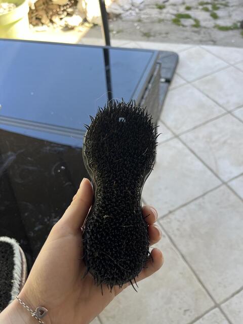 Diverses brosses