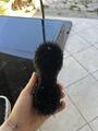 Diverses brosses