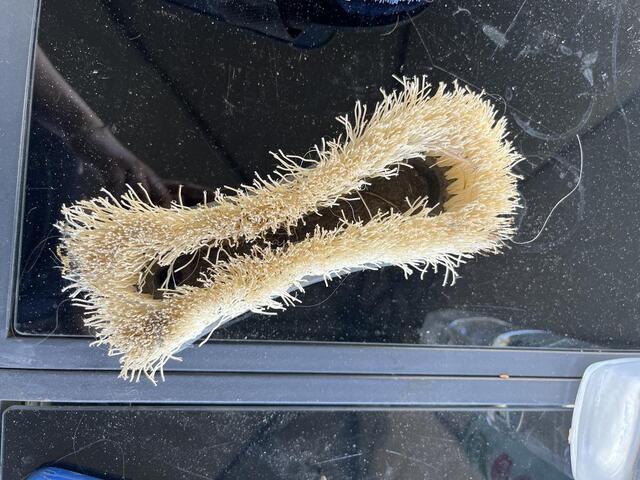 Diverses brosses