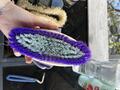 Diverses brosses