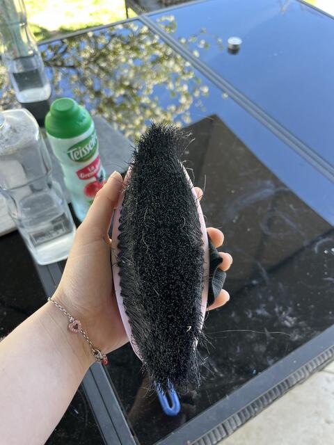 Diverses brosses