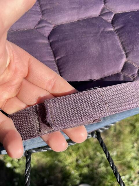 Tapis violet Félix Brühler